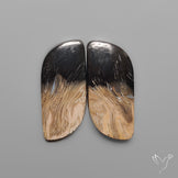 Indonesian Palmroot Agates Pair