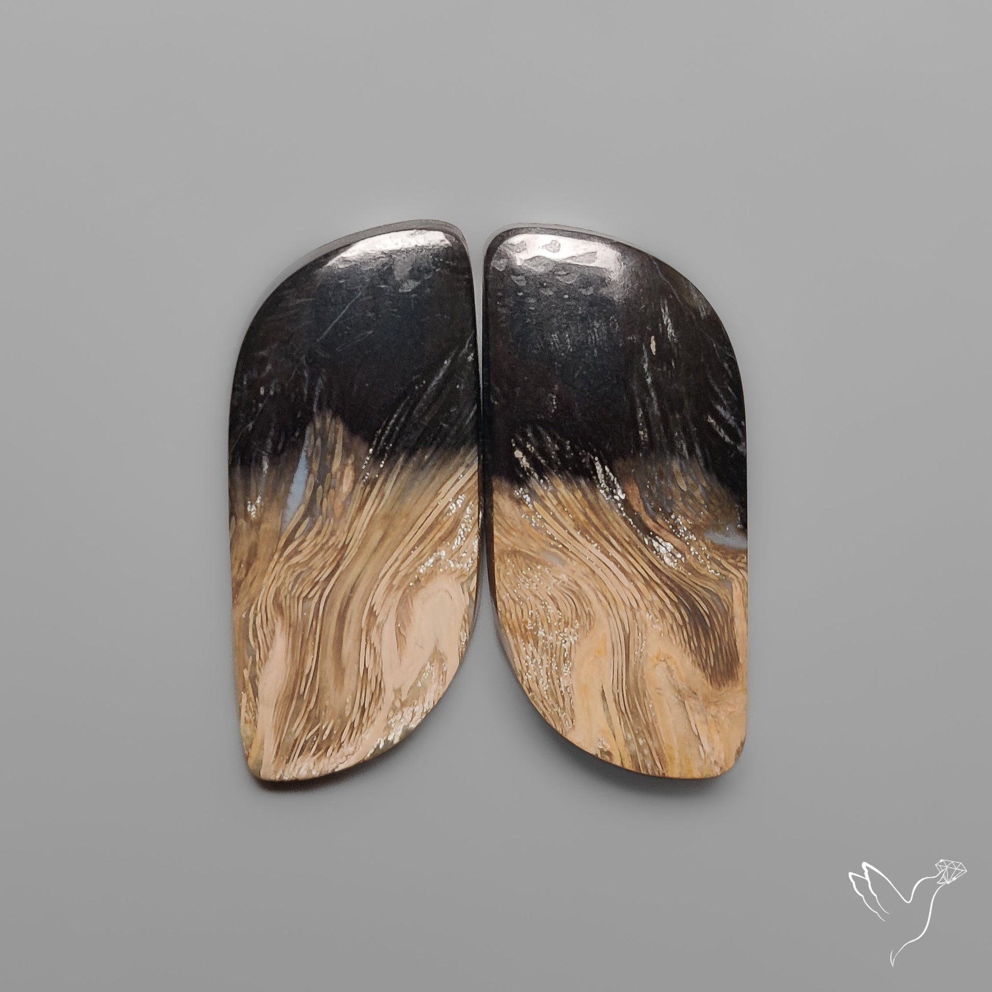 Indonesian Palmroot Agates Pair