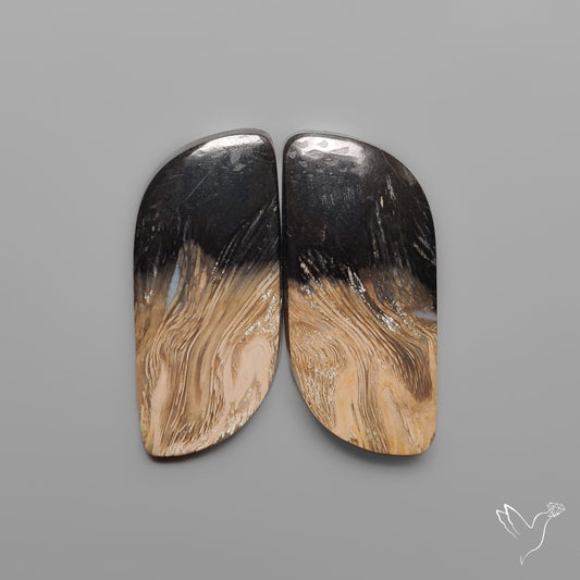 Indonesian Palmroot Agates Pair