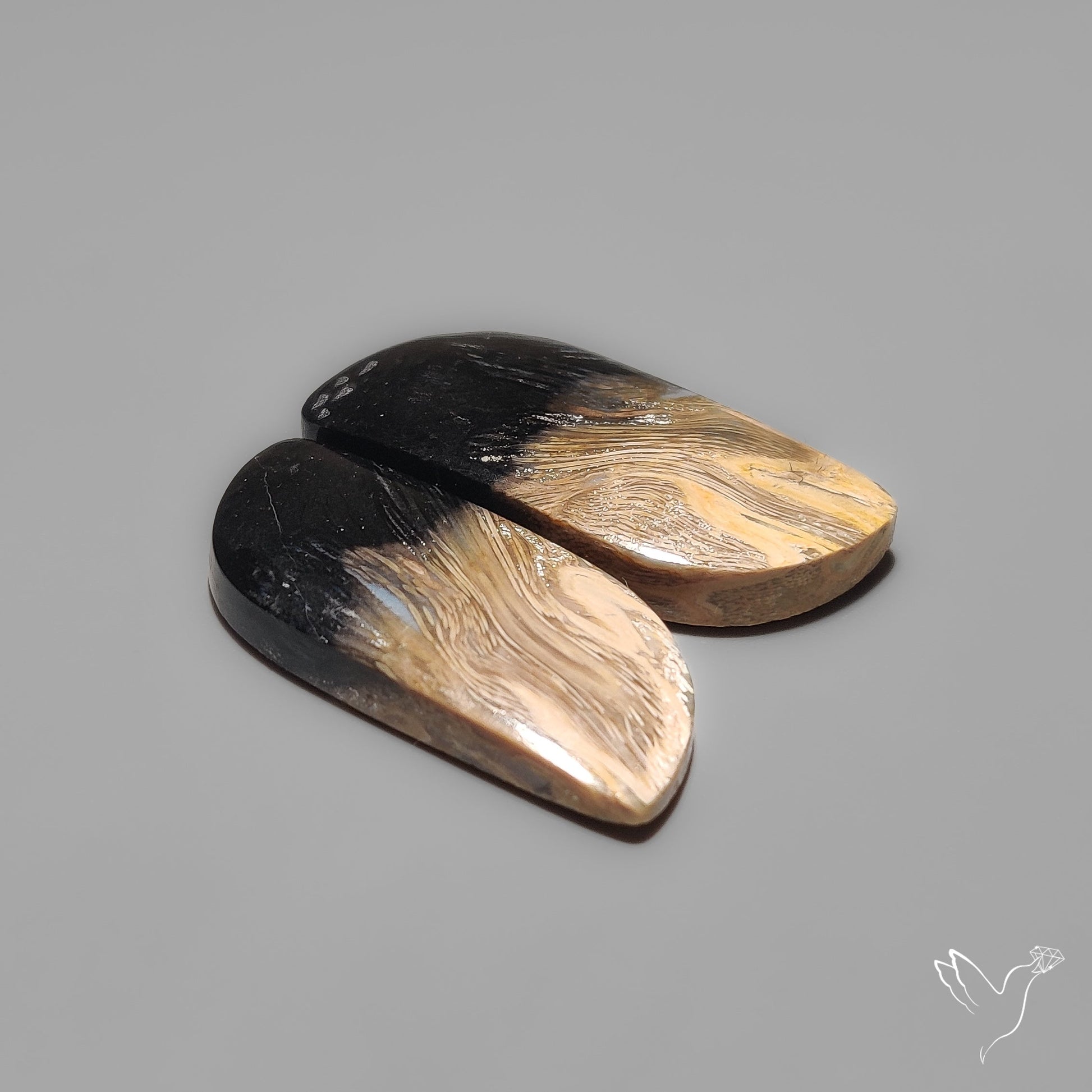 Indonesian Palmroot Agates Pair