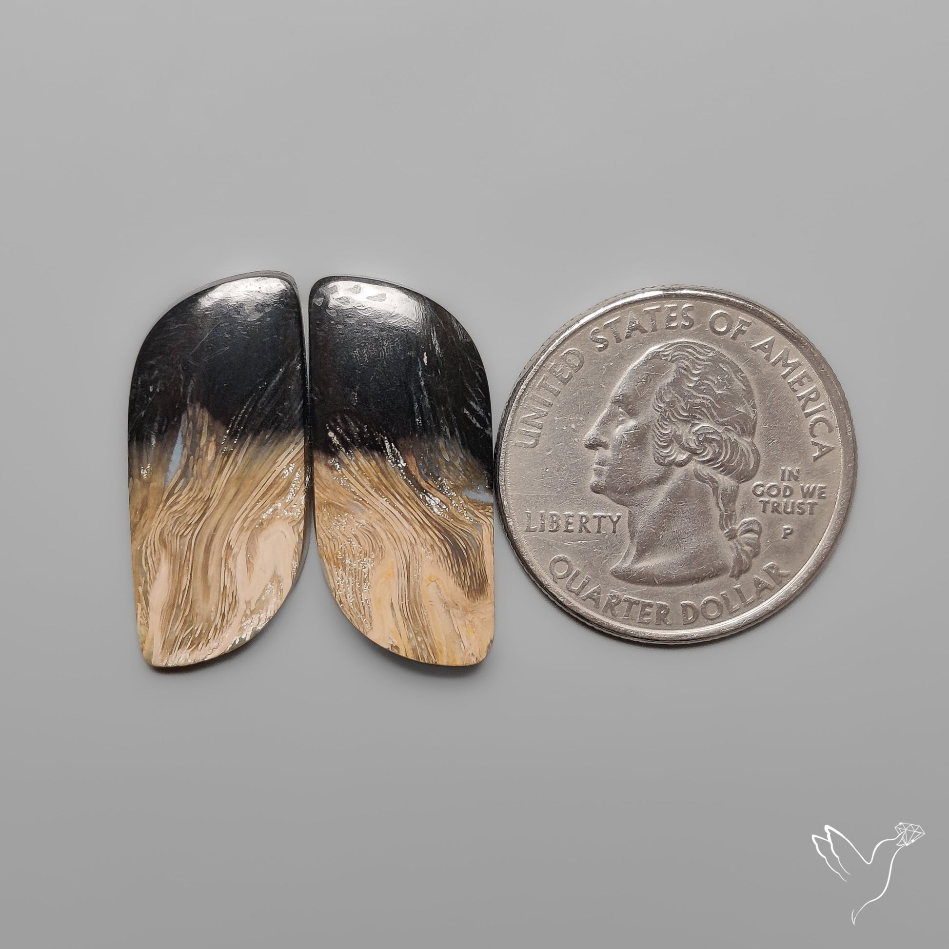 Indonesian Palmroot Agates Pair