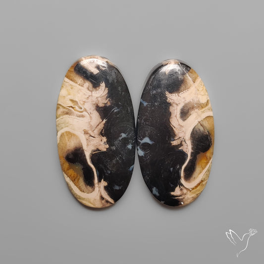 Indonesian Palmroot Agates Pair