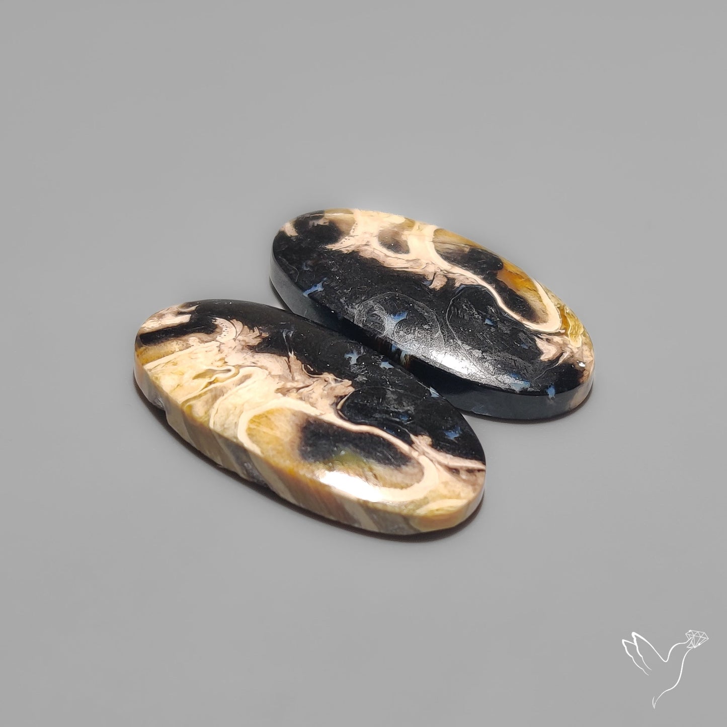 Indonesian Palmroot Agates Pair