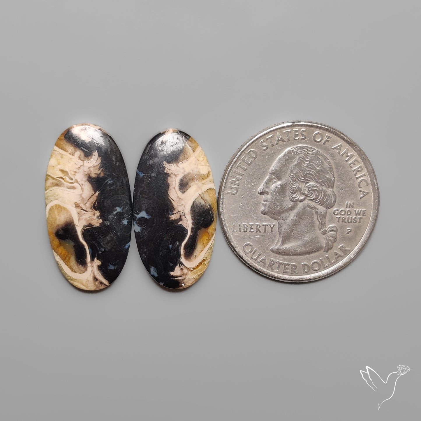 Indonesian Palmroot Agates Pair