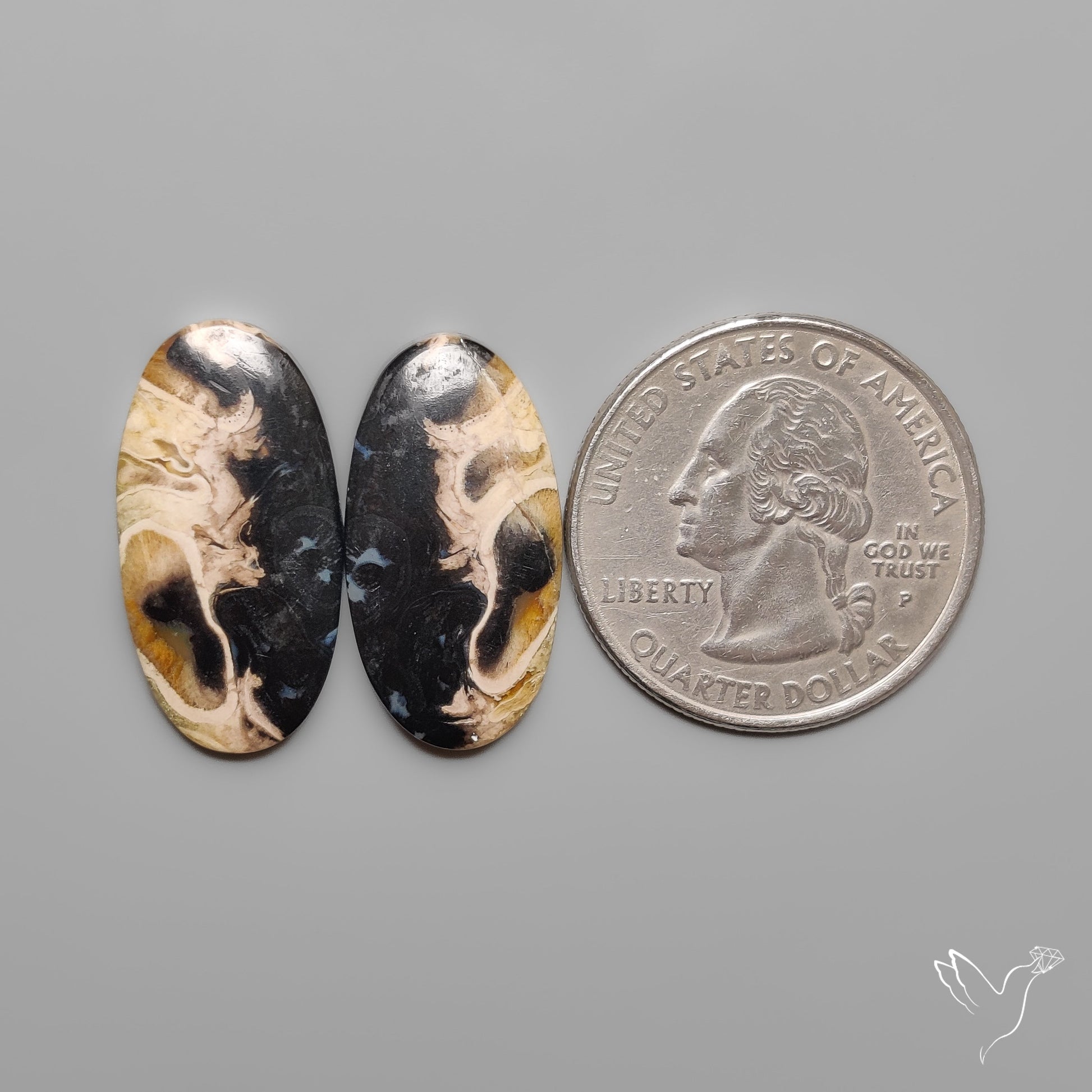 Indonesian Palmroot Agates Pair