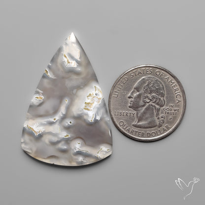 White Horse Canyon Moss Agate