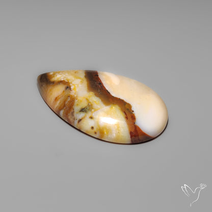 Polka Dot Agate Cabochon