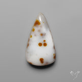 Polka Dot Agate