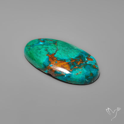 Peruvian Chrysocolla