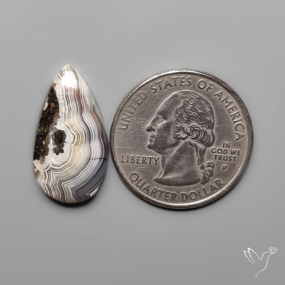 Crazylace Agate
