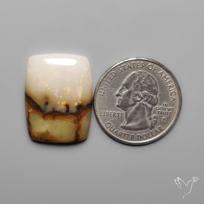Polka Dot Agate
