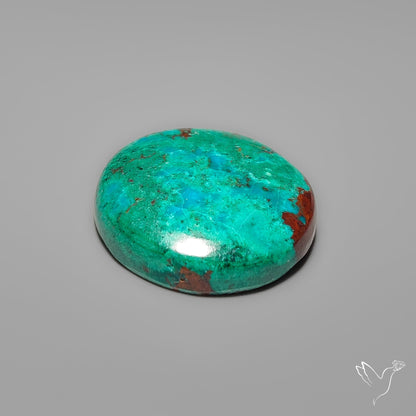 Peruvian Chrysocolla Round Cabochon