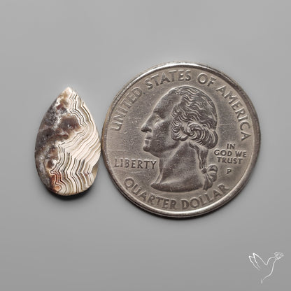 Crazylace Agate