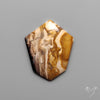Indonesian Palmroot Agate Cabochon Petrified