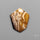 Indonesian Palmroot Agate Cabochon Petrified