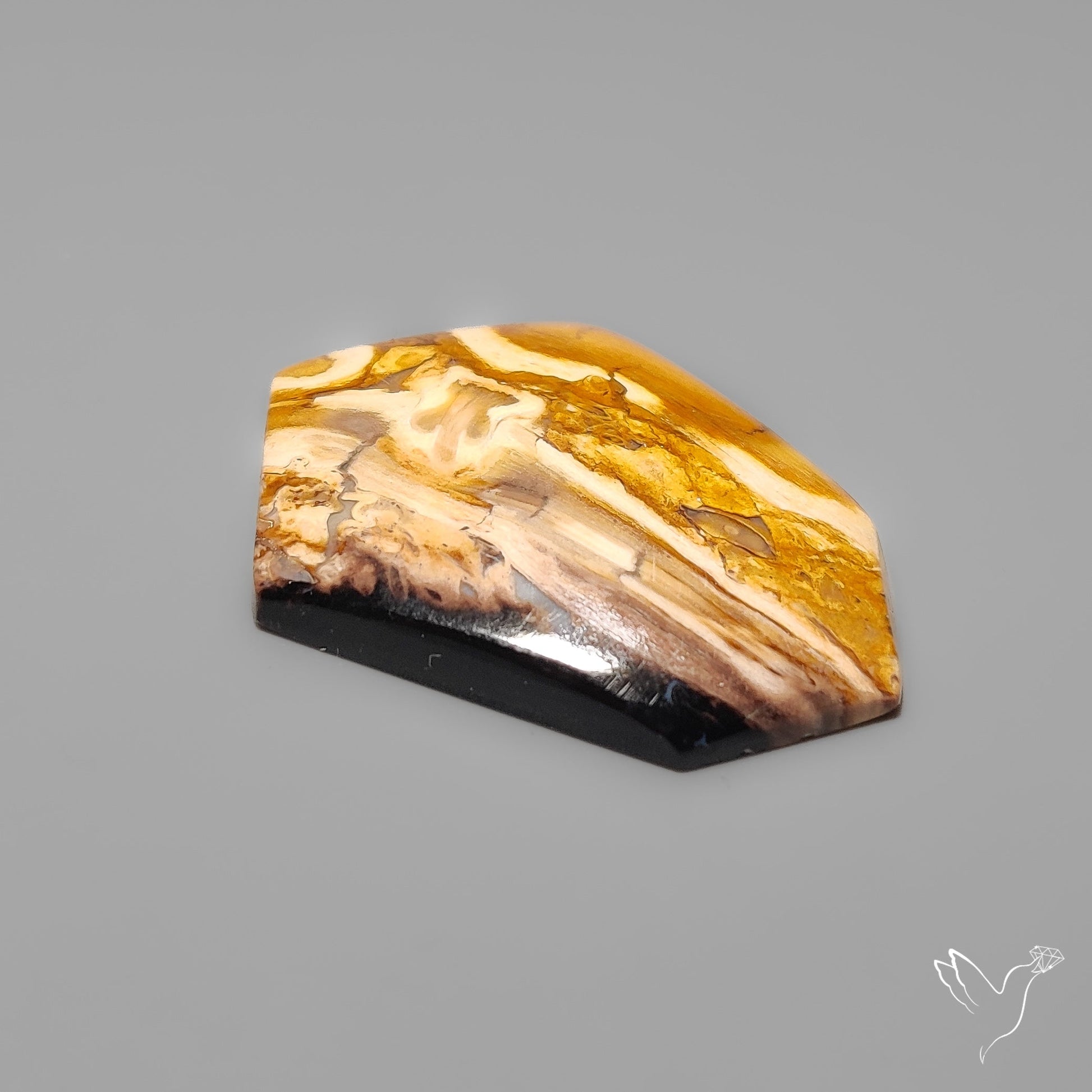 Indonesian Palmroot Agate Cabochon Petrified