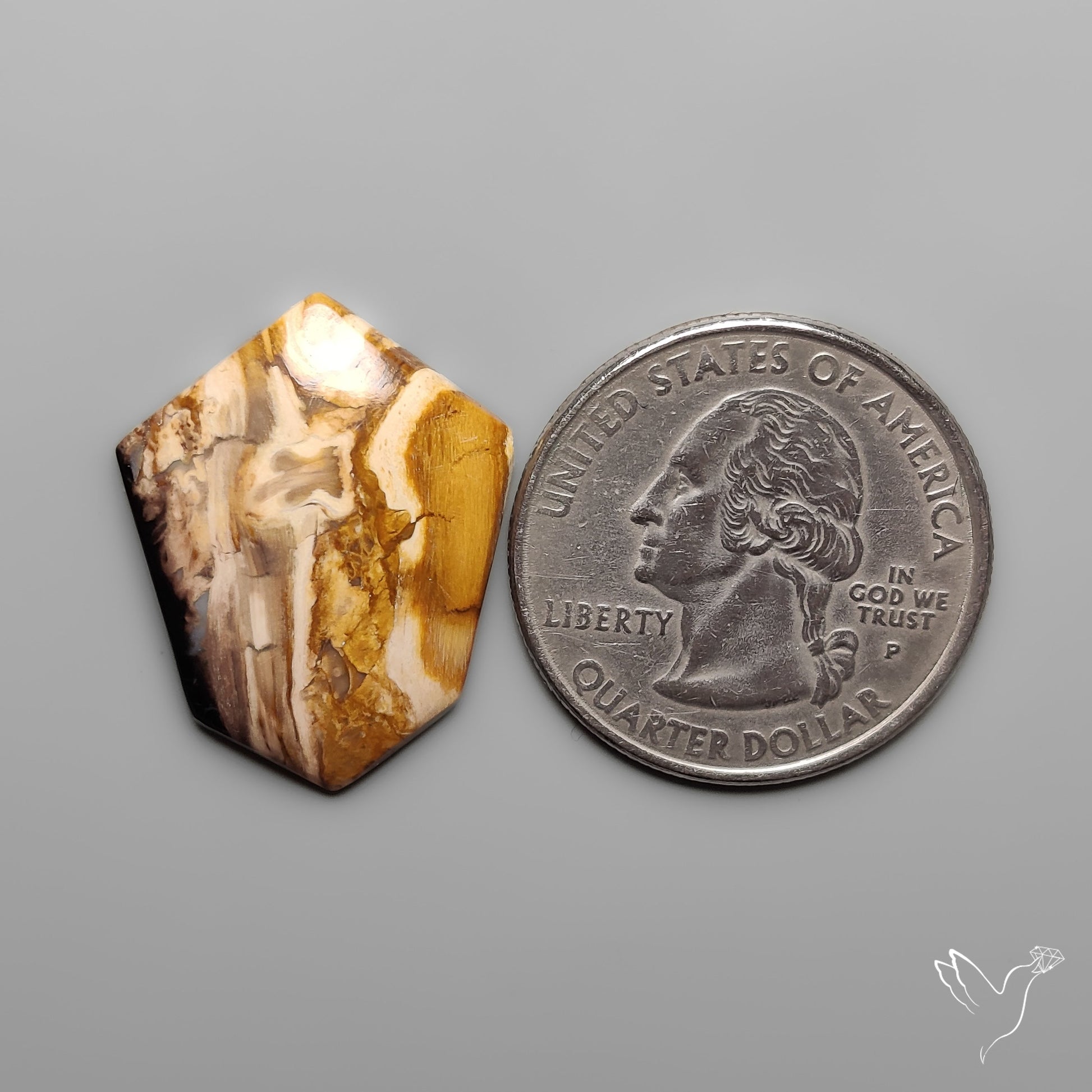 Indonesian Palmroot Agate Cabochon Petrified