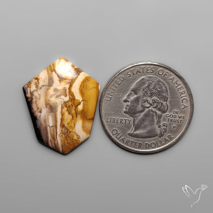 Indonesian Palmroot Agate Cabochon Petrified