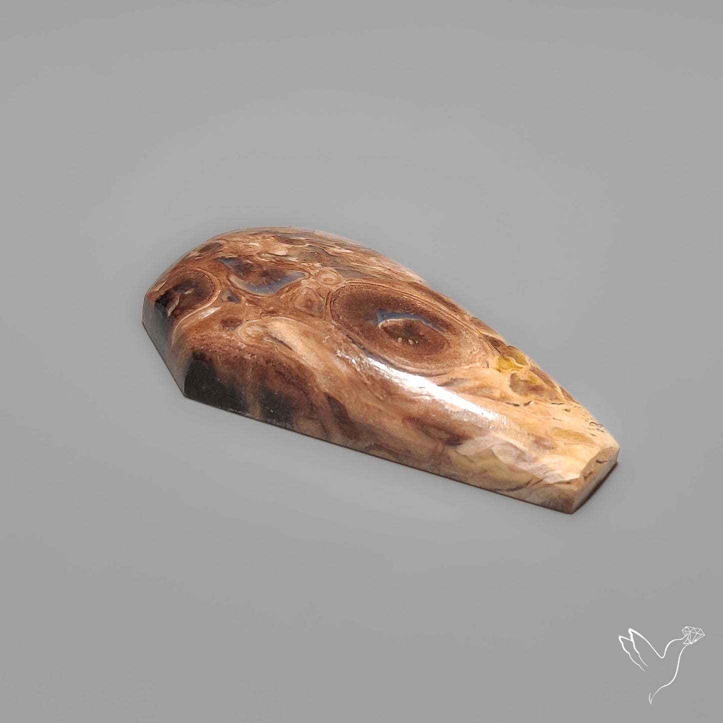 Indonesian Palmroot Agate Coffin