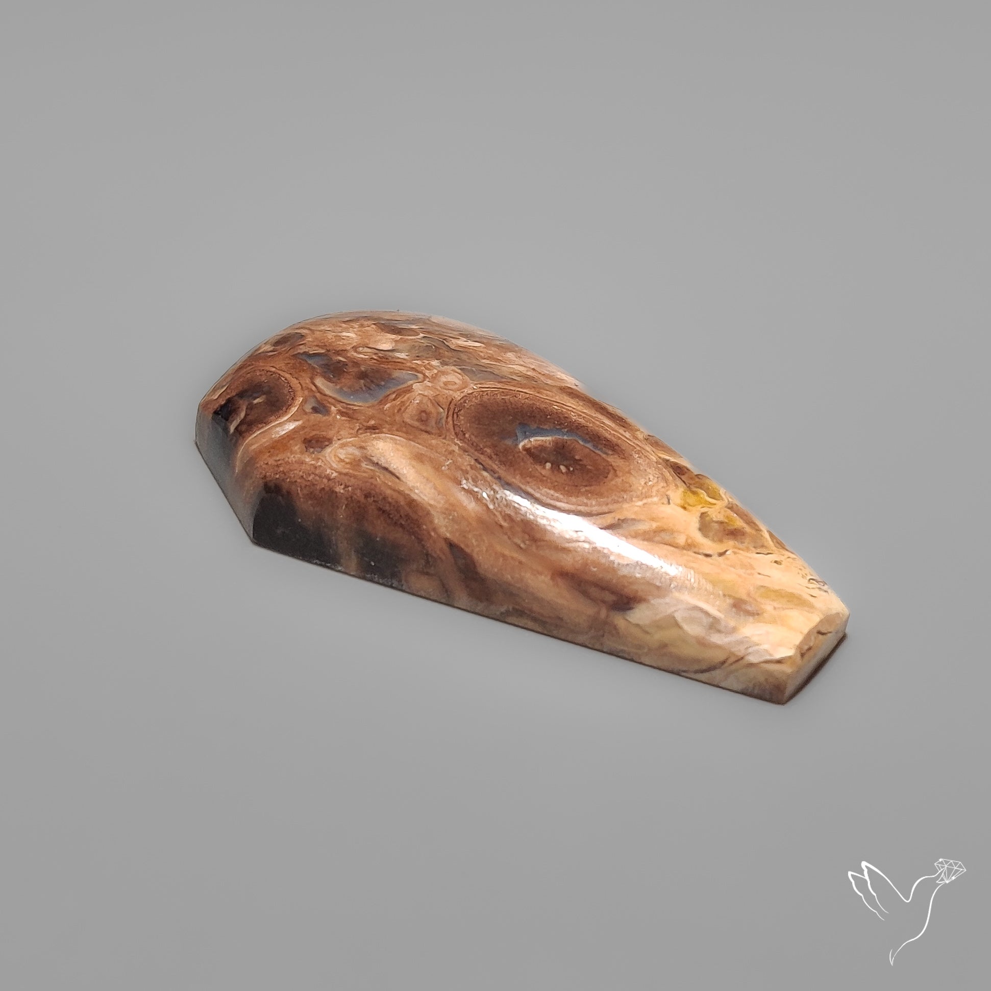 Indonesian Palmroot Agate Coffin