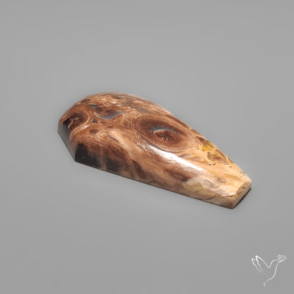 Indonesian Palmroot Agate Coffin