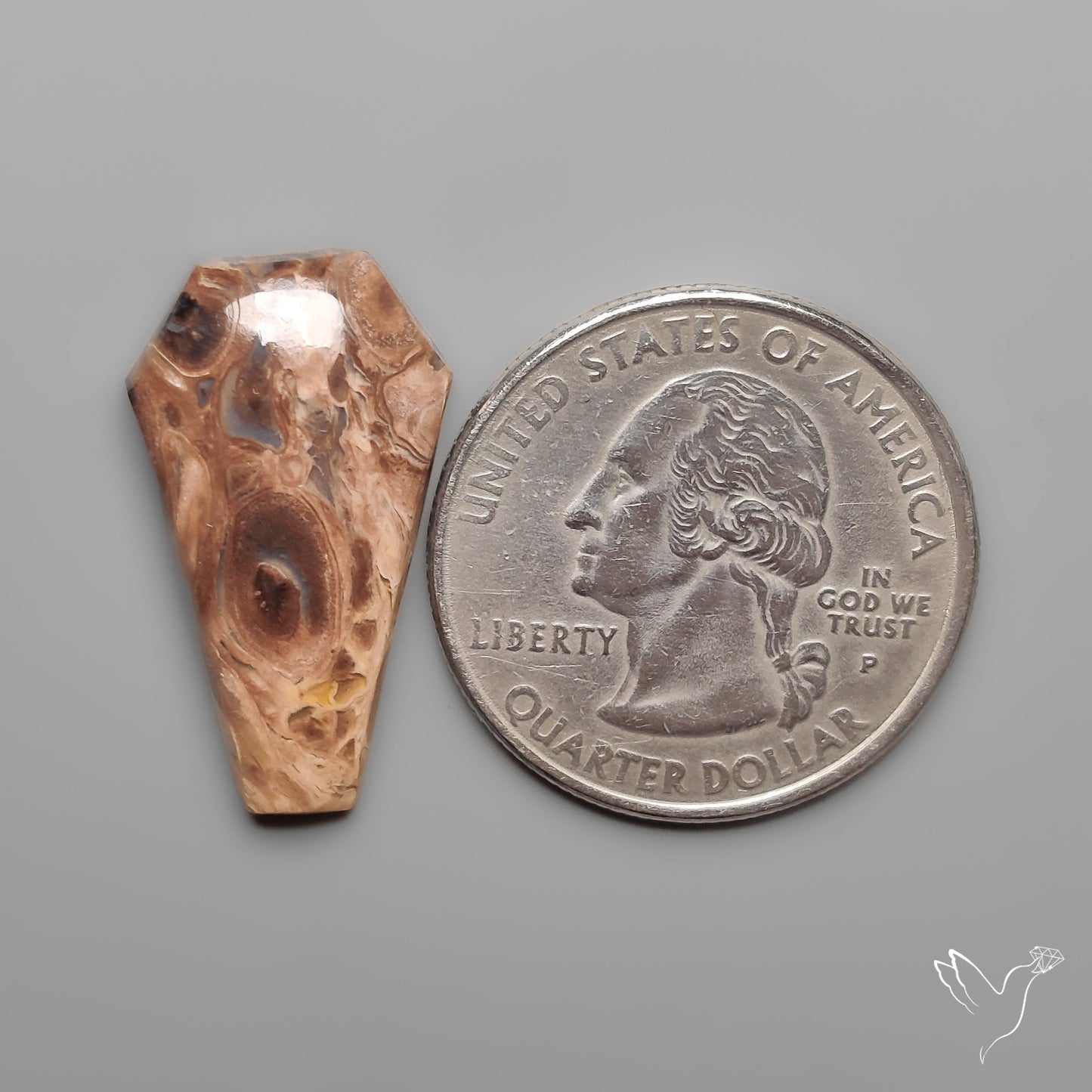 Indonesian Palmroot Agate Coffin