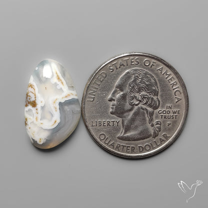 White Horse Canyon Moss Agate