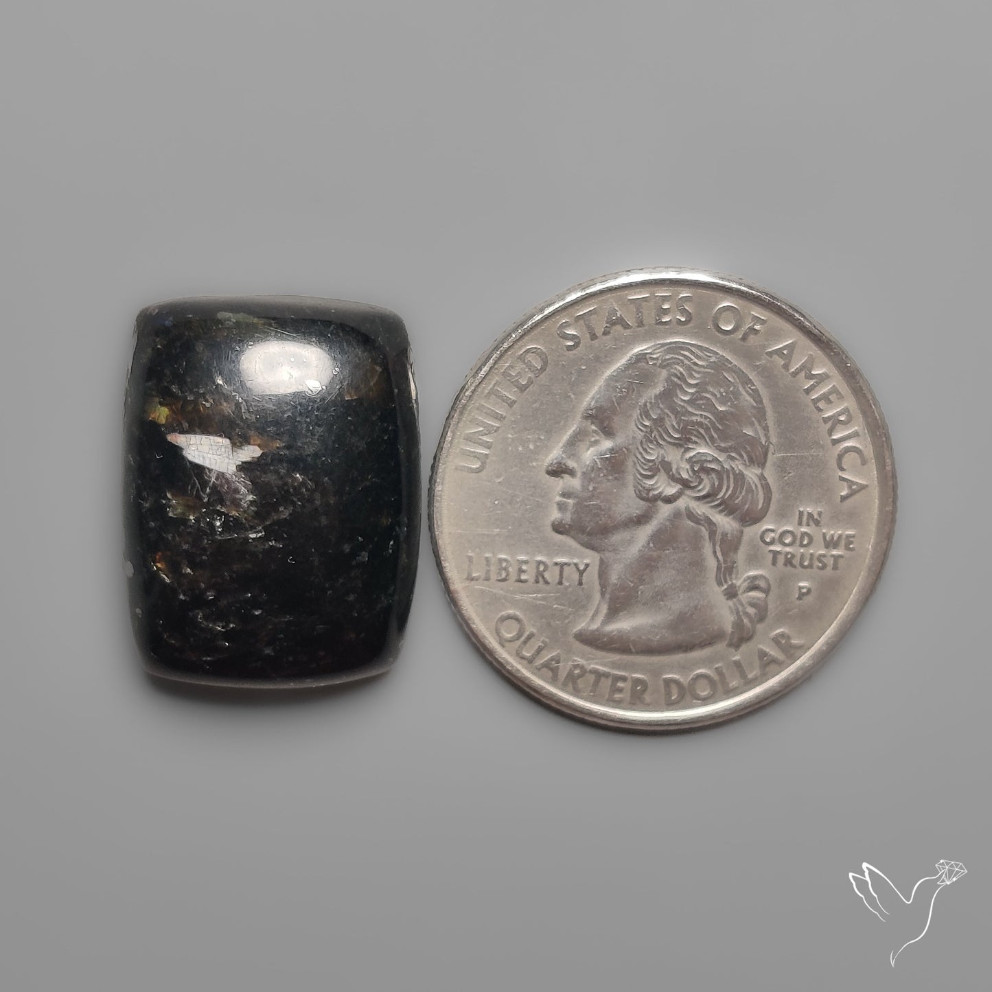 Greenland Nuummite