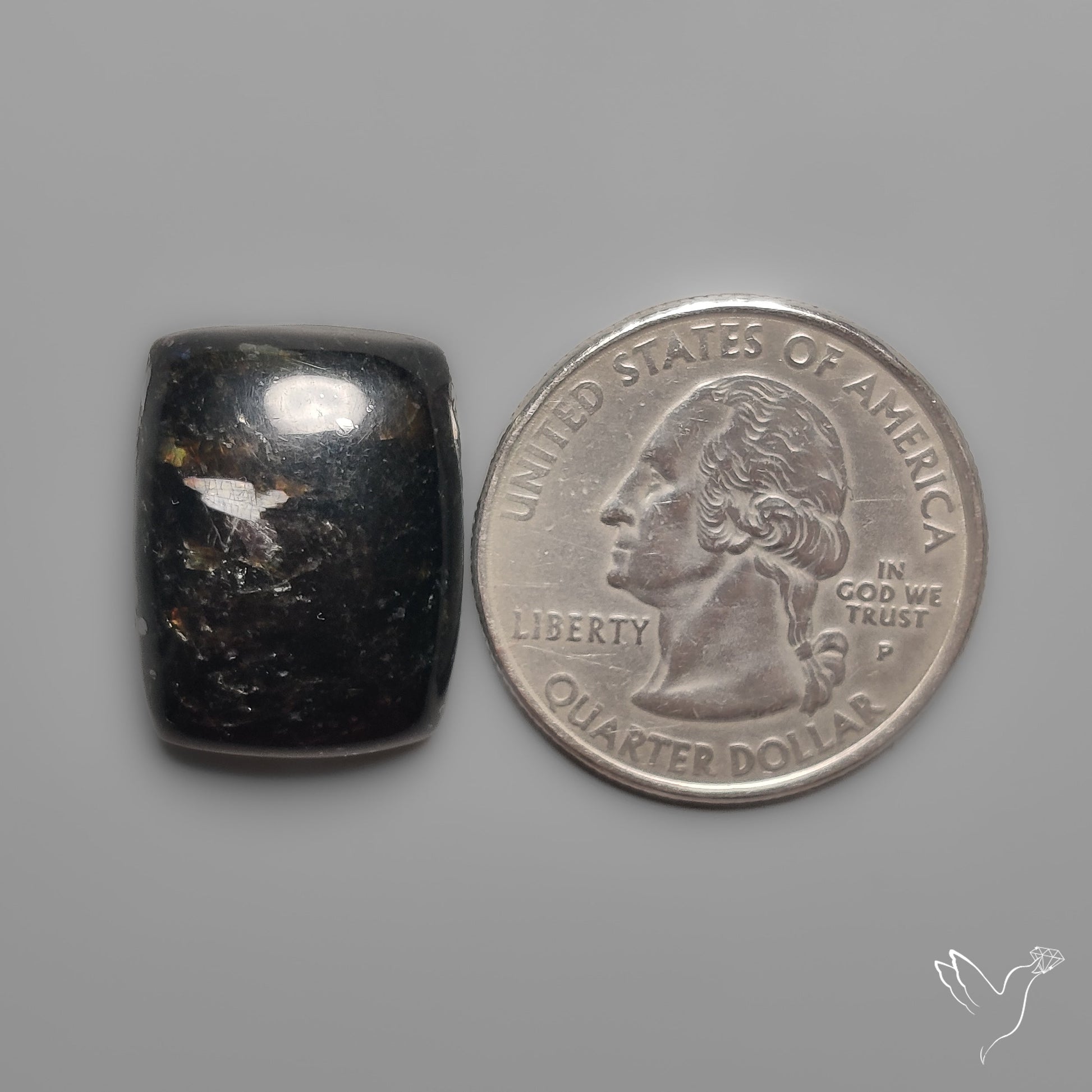 Greenland Nuummite