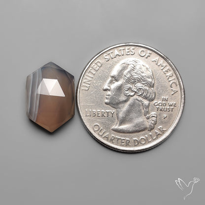Rose Cut Botswana Agate