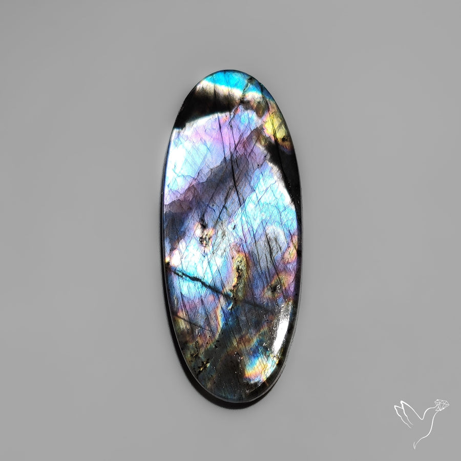 Electric Purple Spectrolite Cabochon