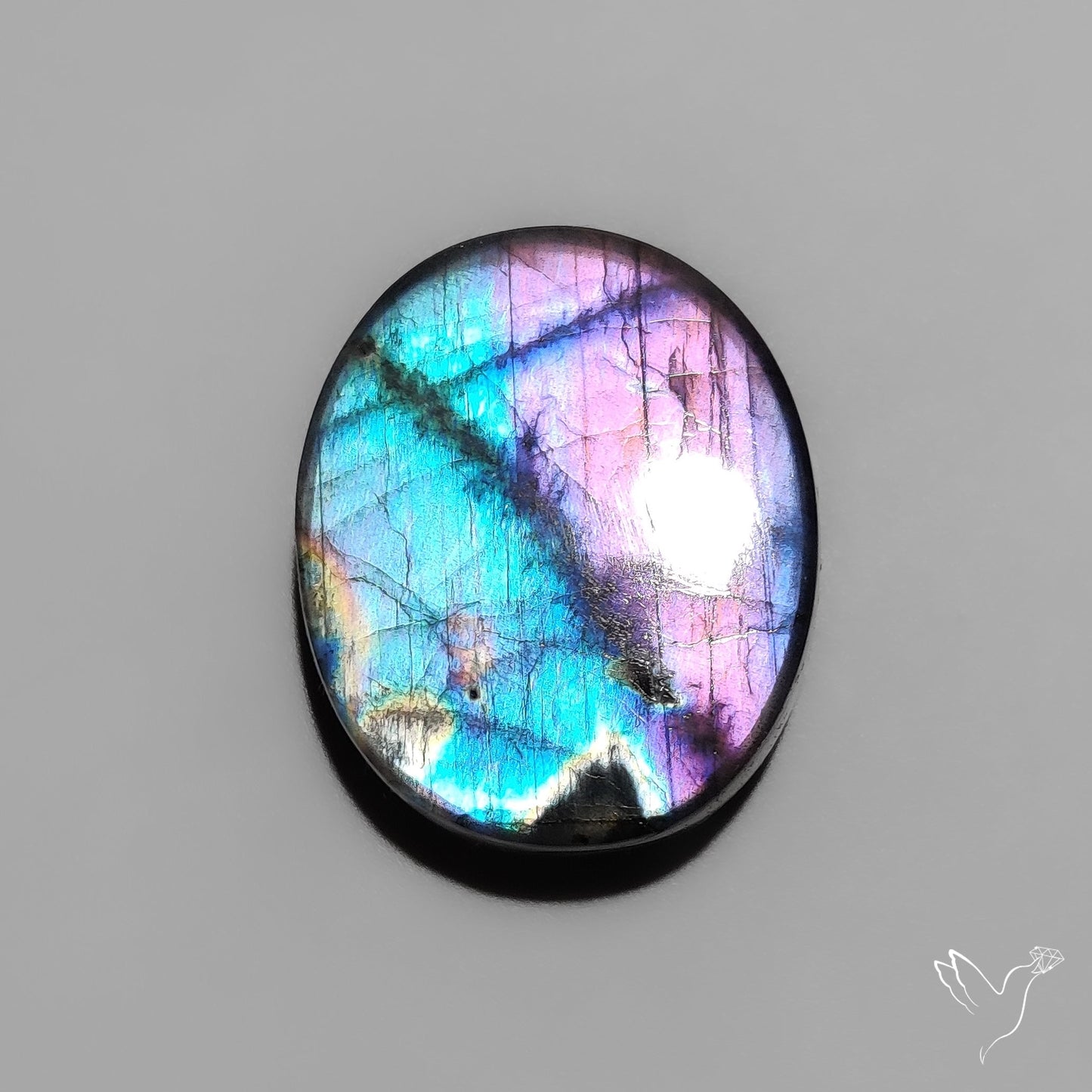 Bicolor (Half Neon Half Purple) Spectrolite Cabochon
