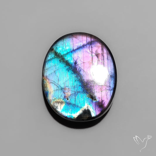 Bicolor (Half Neon Half Purple) Spectrolite Cabochon
