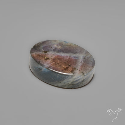 Bicolor (Half Neon Half Purple) Spectrolite Cabochon