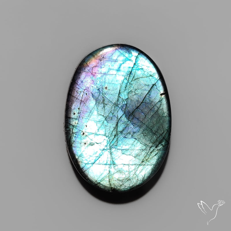 Electric Blue Spectrolite Cabochon