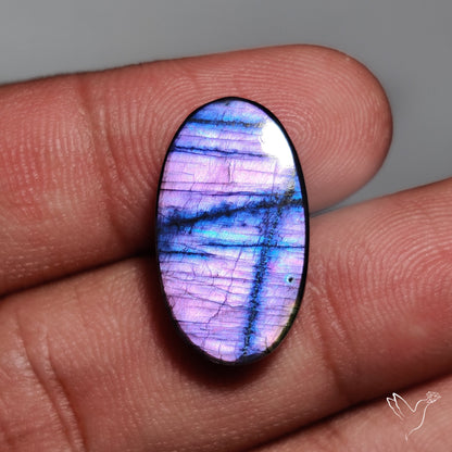 Purple Spectrolite Cabochon