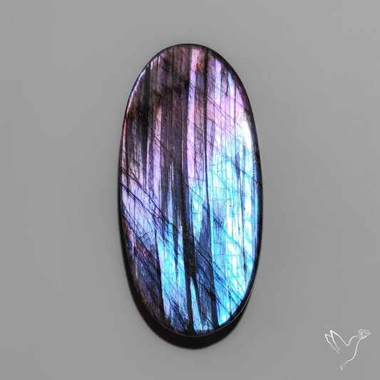 Bicolor (Half Neon Half Purple) Spectrolite Cabochon