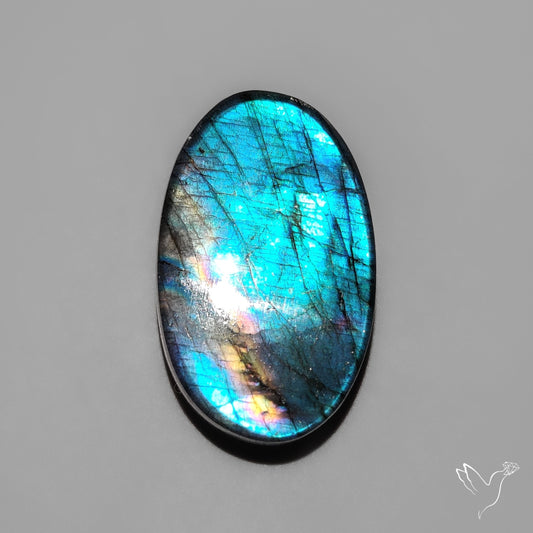 Spectrolite Cabochon