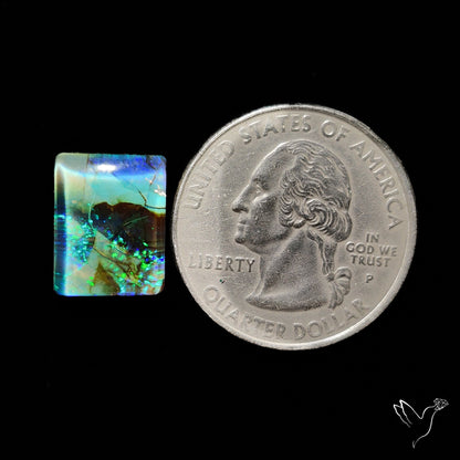 Monarch Opal Doublet Sterling Opal Cabochon