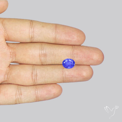 Tanzanite Fine Grade Faceted