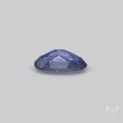 Gem Iolite Faceted
