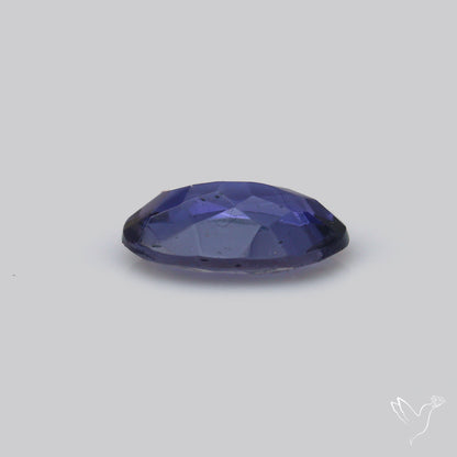 Gem Iolite Faceted