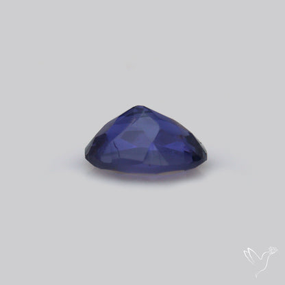 Gem Iolite Faceted