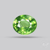 Rare Demantoid Garnet Vivid Green from Russia Unheated