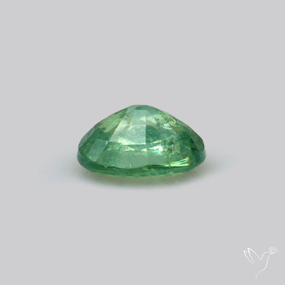 Rare Demantoid Garnet Vivid Green from Russia Unheated