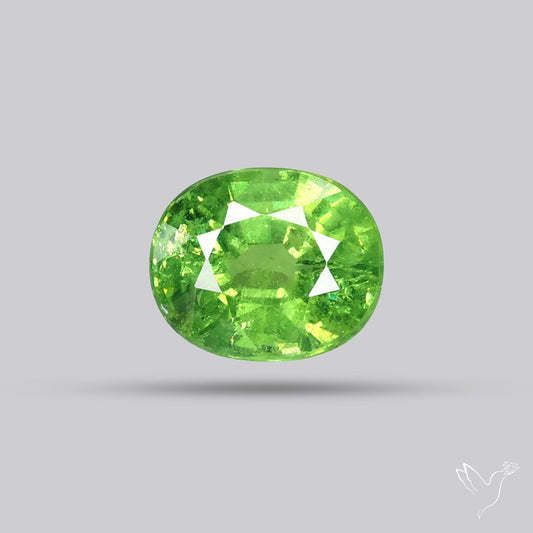 Rare Demantoid Garnet Vivid Green from Russia Unheated
