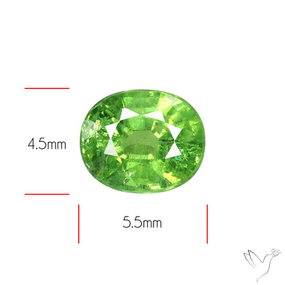 Rare Demantoid Garnet Vivid Green from Russia Unheated