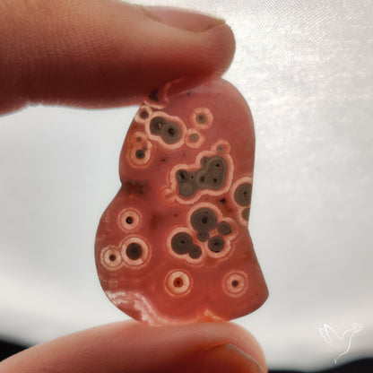 Rare Rhodochrosite Stalactite Orbicular Patterns
