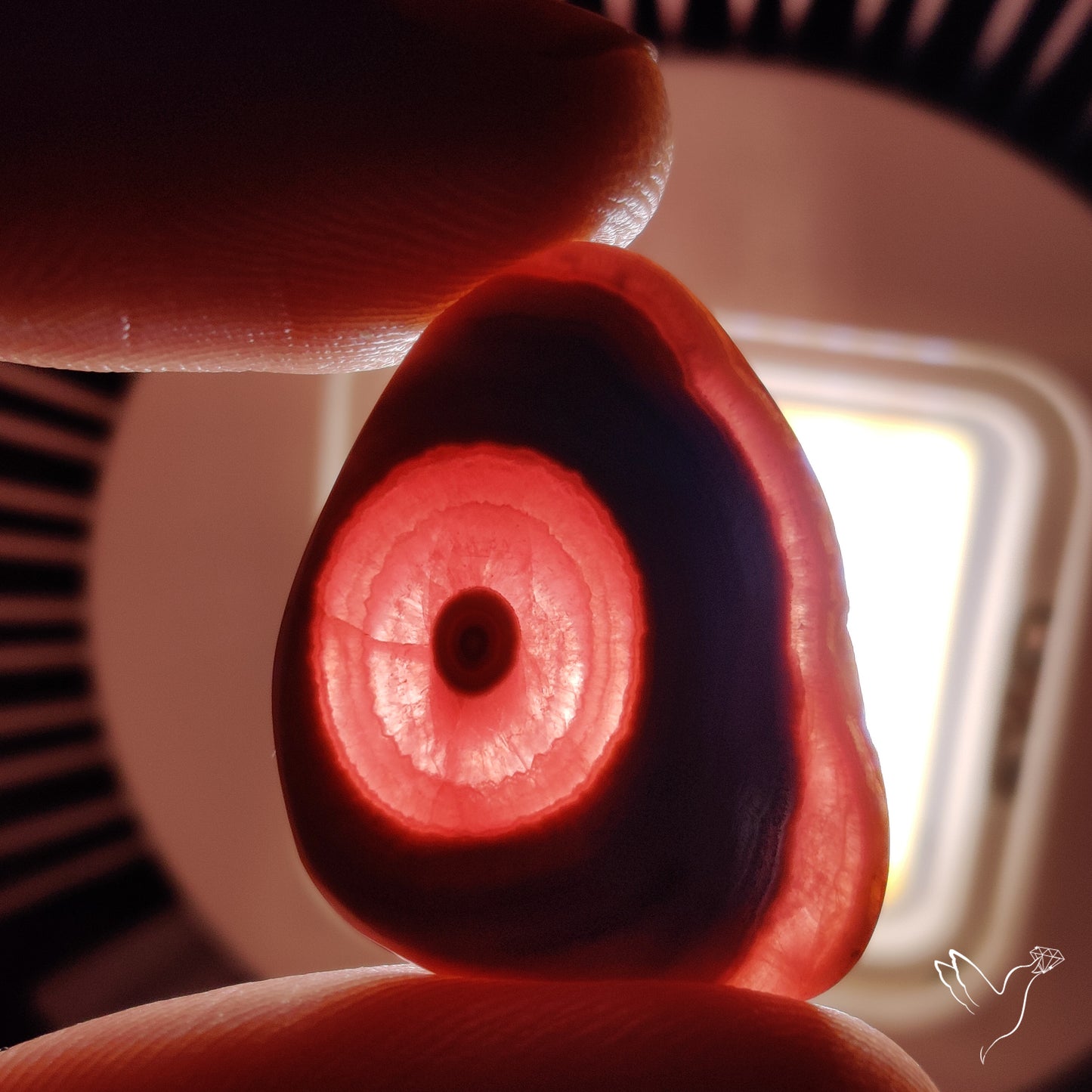 Rare Rhodochrosite Stalactite