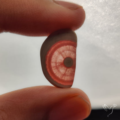 Rare Rhodochrosite Stalactite